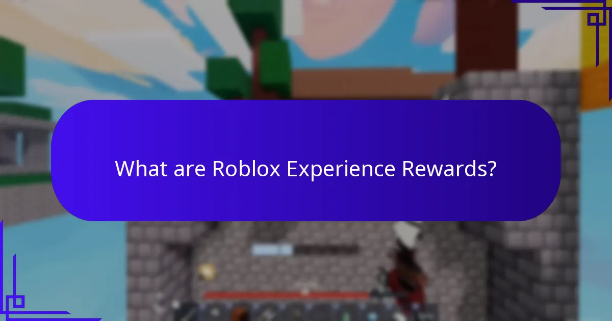 What are Universal Items in Roblox?