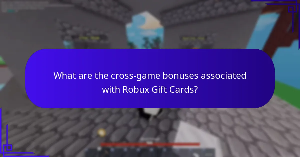 What are universal items in Roblox?